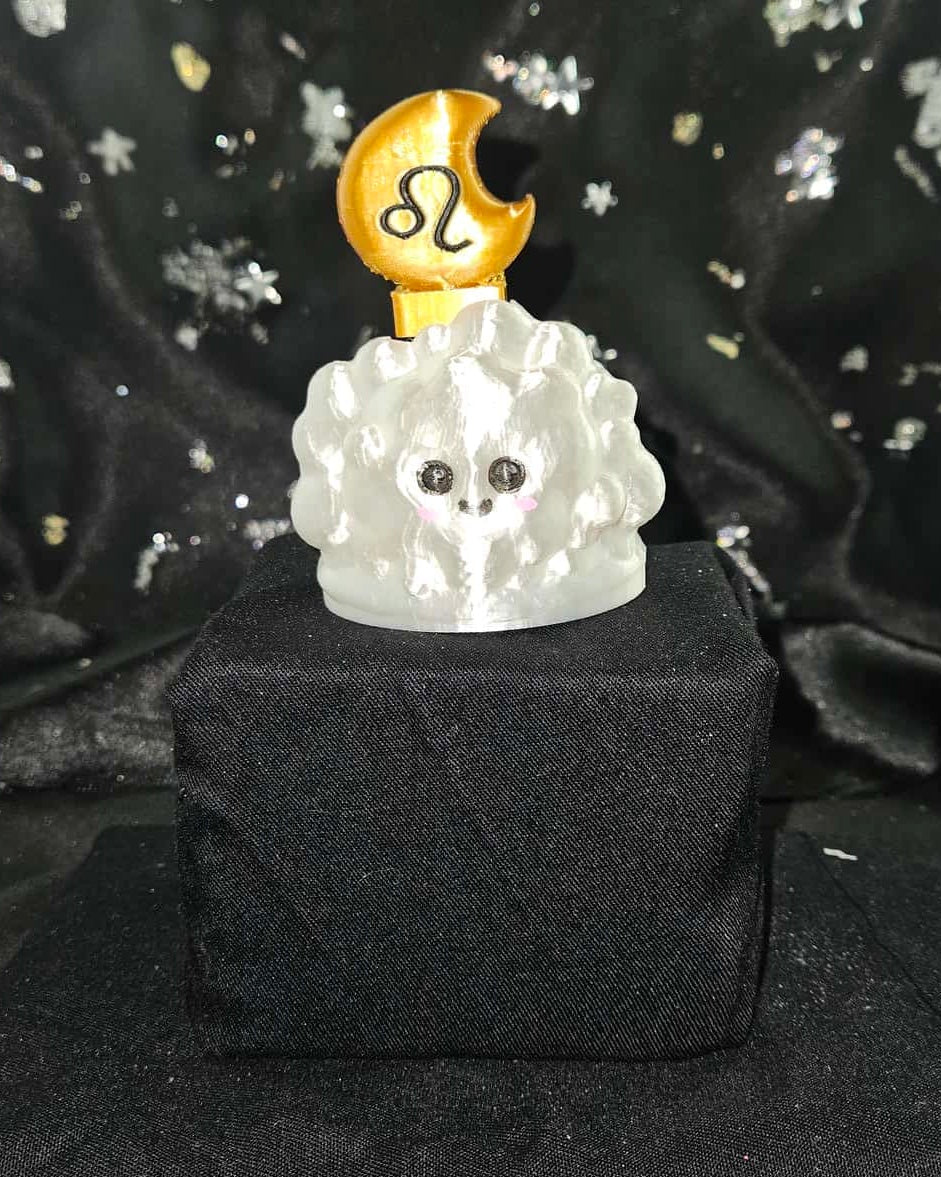 Moon in the clouds fidget toy